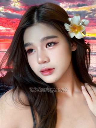 Shemale Escort - Ritar - Thailand
